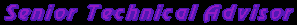 senior technical advisor
